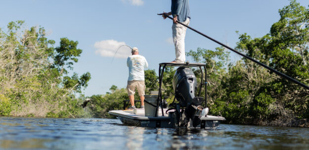 Skipping Outboard Maintenance skipping outboard maintenance