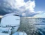 outboard tune up