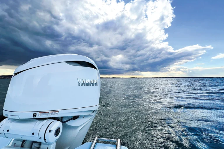 outboard tune up