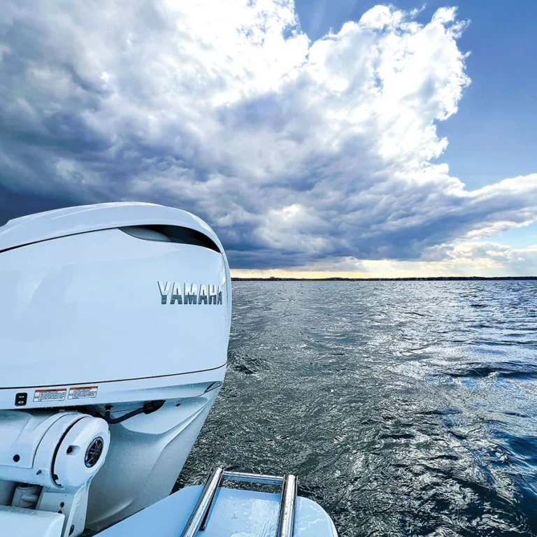 outboard tune up